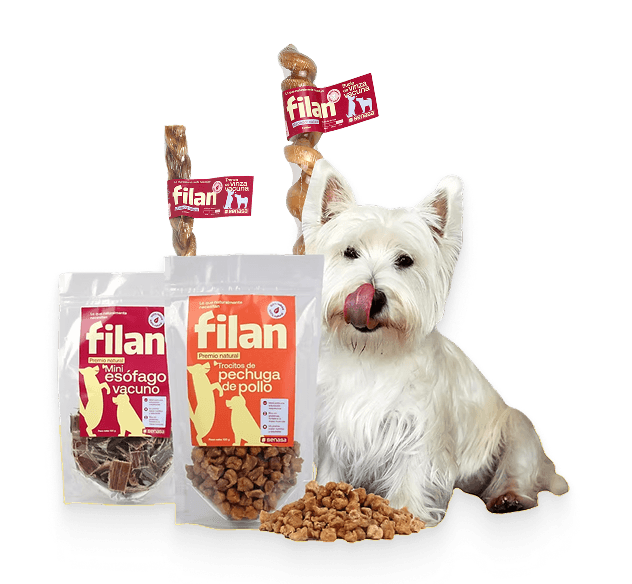 Mayoristas Filan: combo de productos y un perro