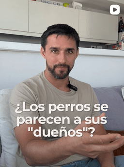 Post de Instagram de Filosofía Animal