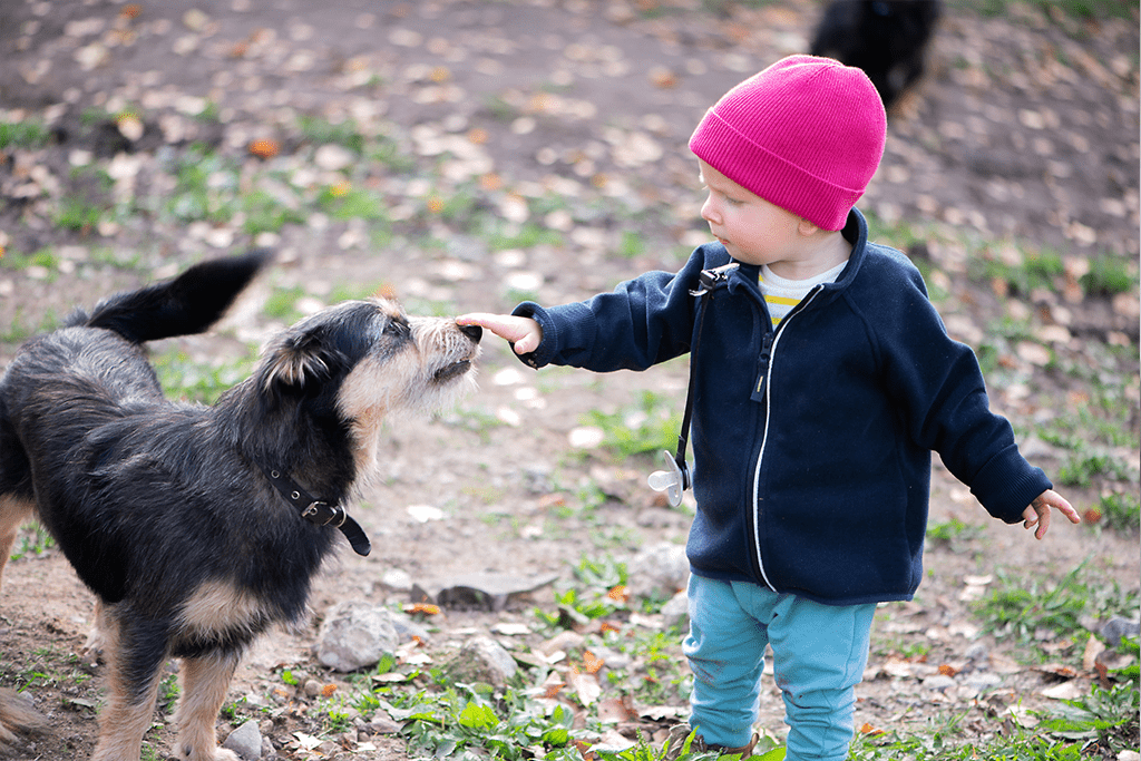 Como deben interactuar perros y ninos
