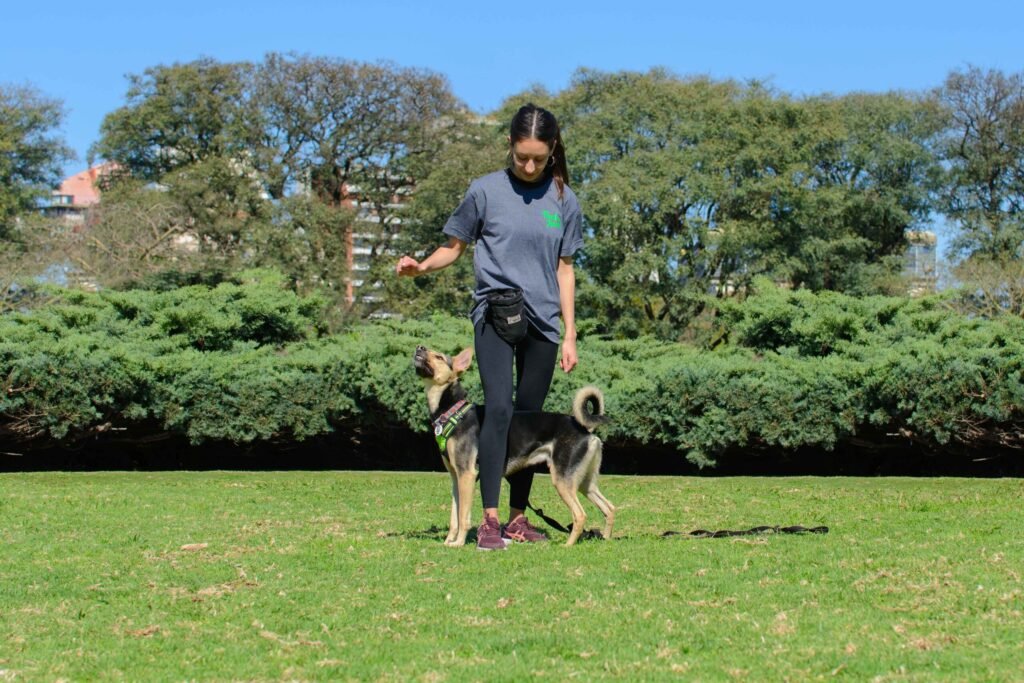 Filosofia Animal Carrera scaled