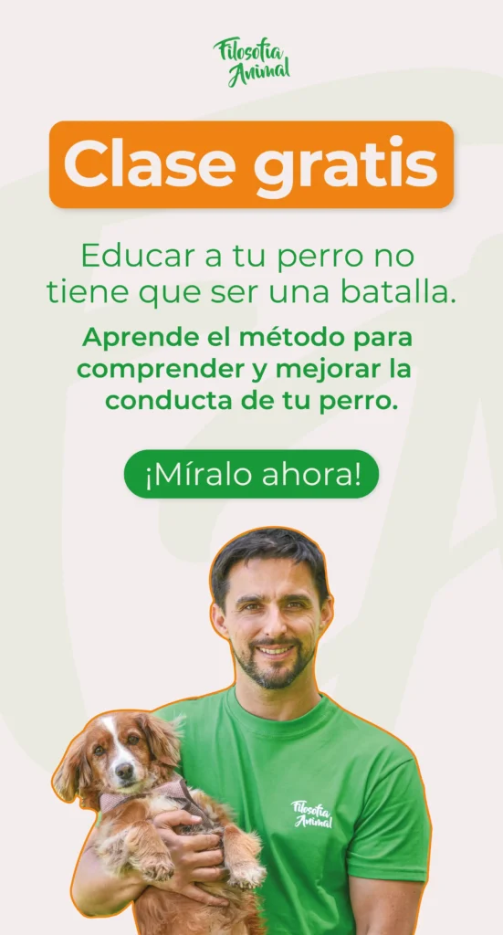 Clase gratis 02 Vertical